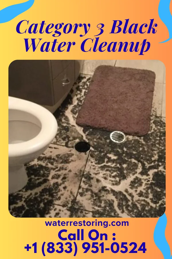 Category 3 Black Water Cleanup in Riverside, WY