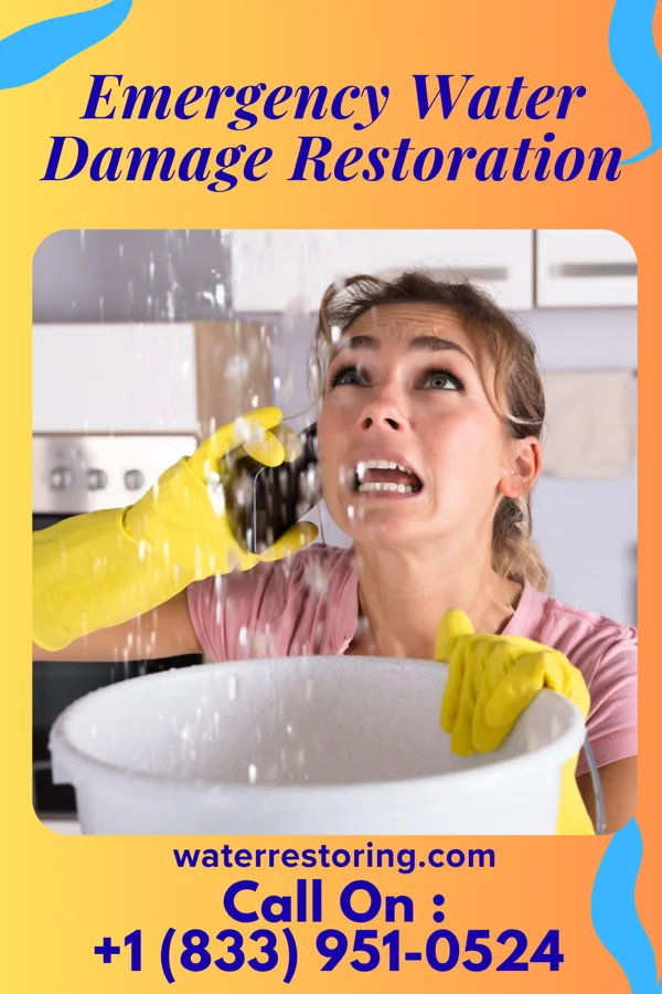 Emergency Water Damage Restoration in Riverside, WY