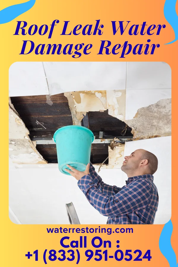 Roof Leak Water Damage Repair in Riverside, WY